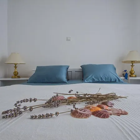 Ranch Apartment